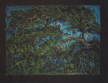 Untitled 1